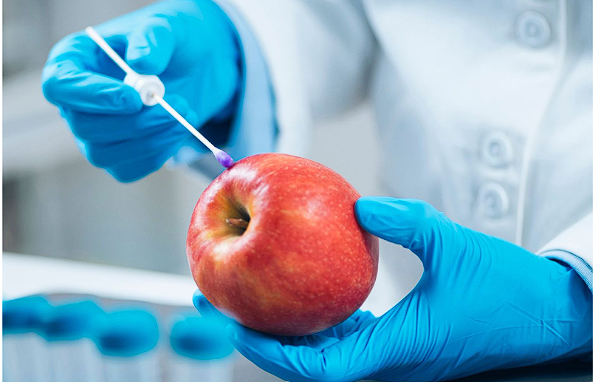 food scientist